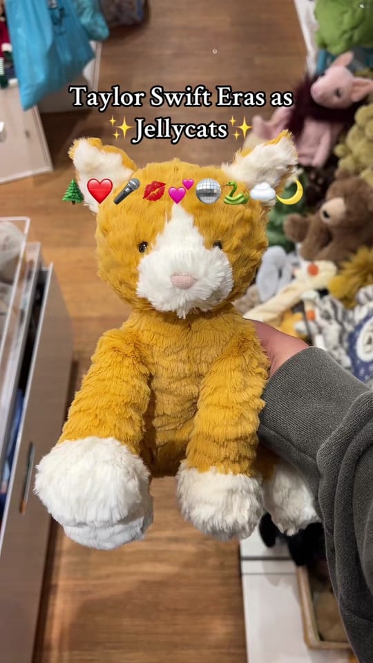 Post 2 by Dizzyware Toys&Gifts🧸 on TikTok (video)