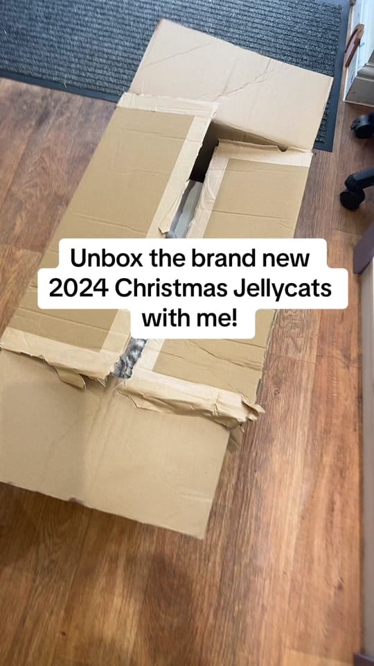 Post 4 by Dizzyware Toys&Gifts🧸 on TikTok (video)
