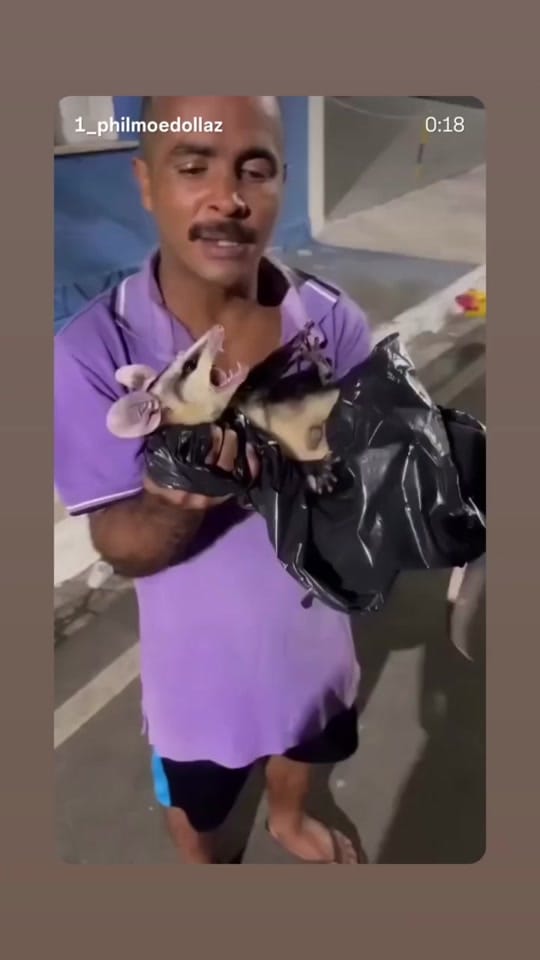 Post 7 by Philmoe Dollaz on TikTok (video)