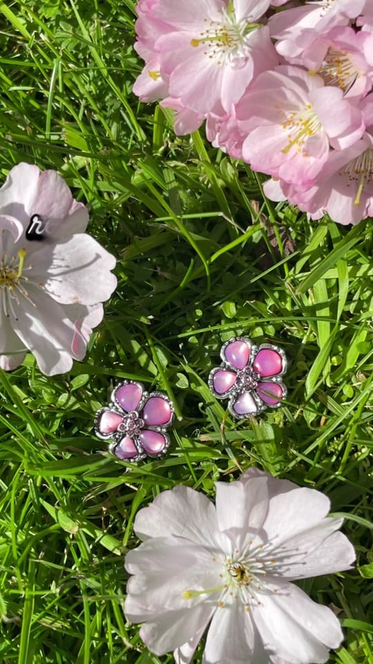 Post 7 by Noble Collection UK on TikTok (video)