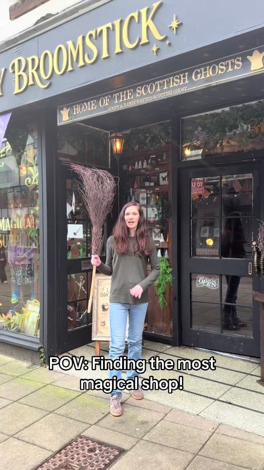 Post 6 by The Lonely Broomstick on TikTok (video)