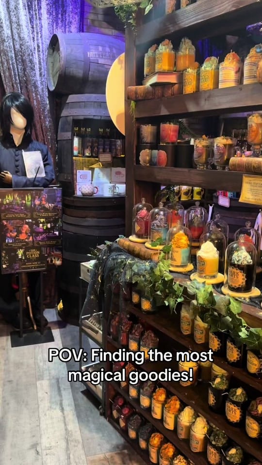 Post 7 by The Lonely Broomstick on TikTok (video)