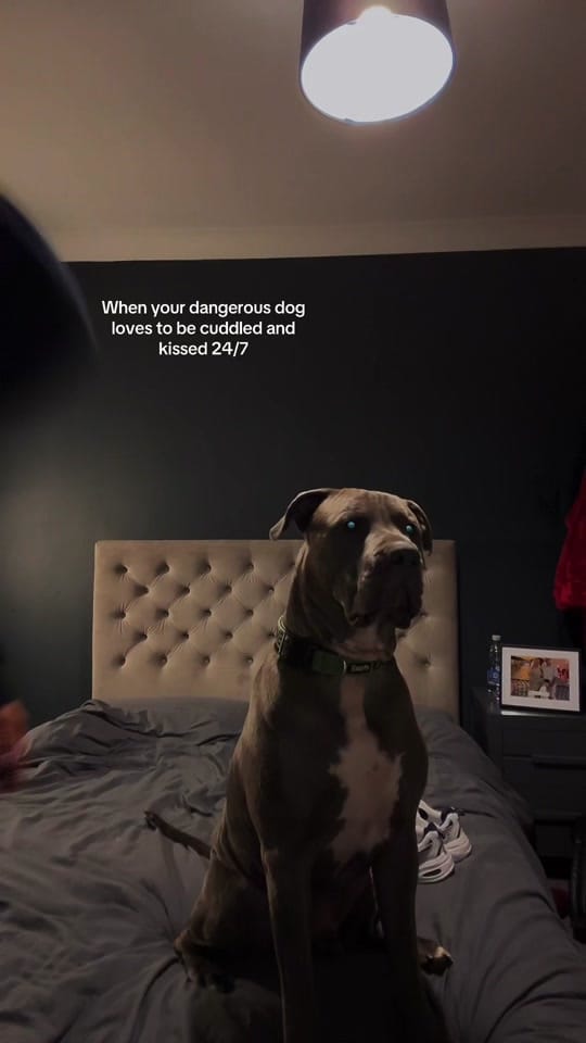 Post 6 by Emma Graham ASTHTX on TikTok (video)