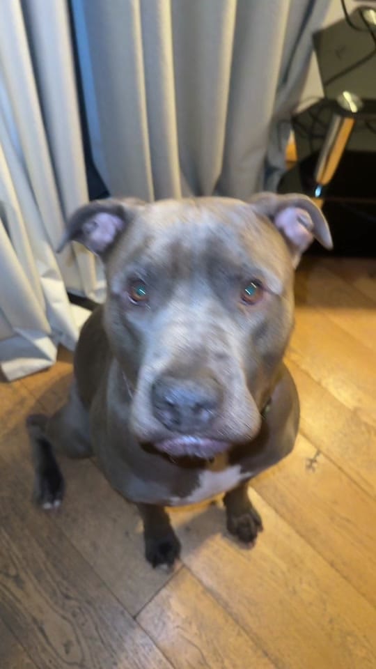 Post 7 by Emma Graham ASTHTX on TikTok (video)