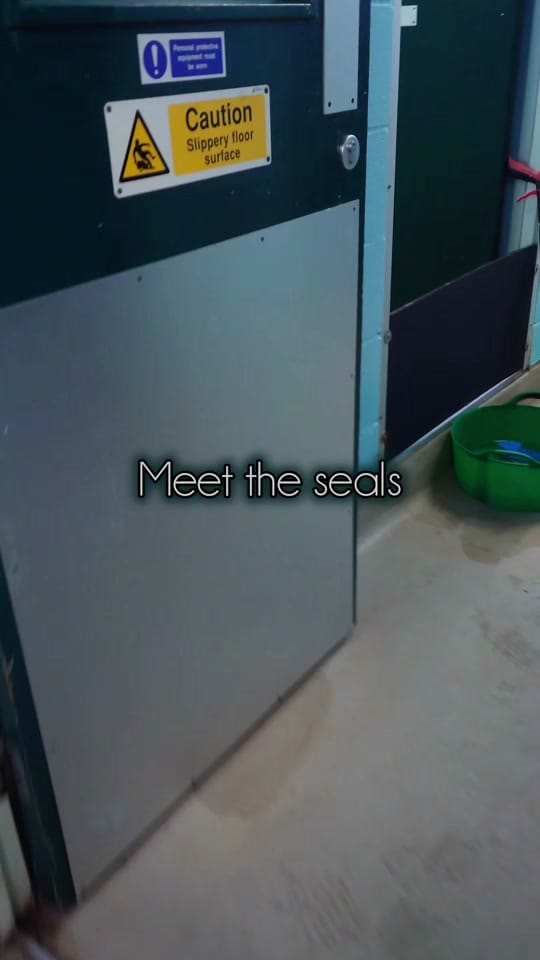 Post 4 by RSPCA Mallydams Wood Wildlife on TikTok (video)