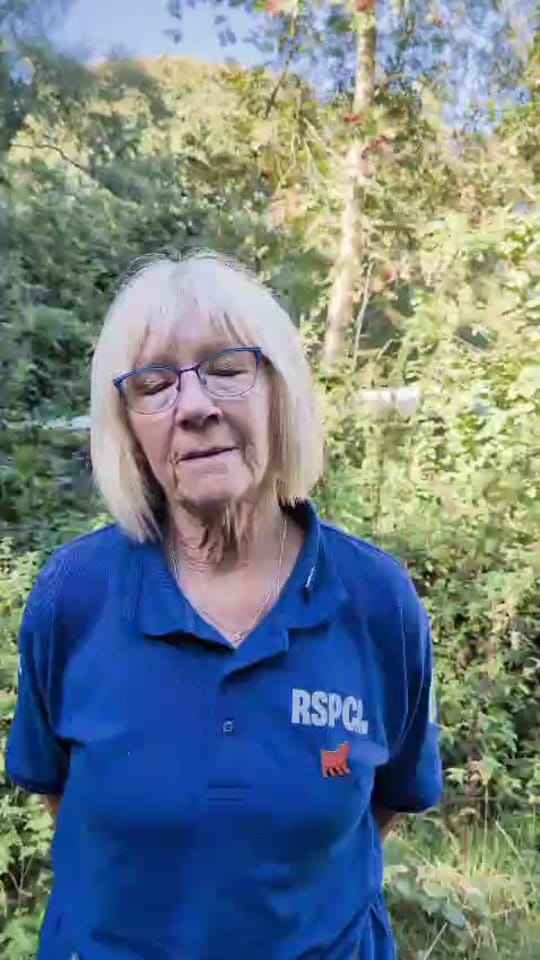 Post 2 by RSPCA Mallydams Wood Wildlife on TikTok (video)