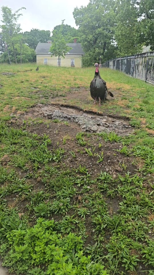 Post 4 by Baxtyr⚛ on TikTok (video)