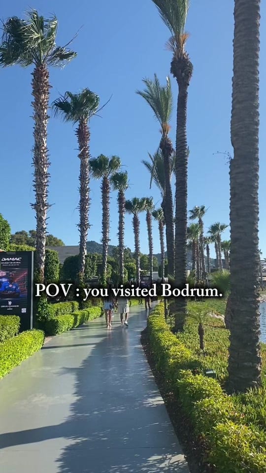 Post 8 by Dr. Nifemi 💋 on TikTok (video)