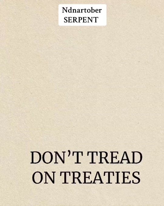 Post 5 by Plain_to_Sea on TikTok (video)