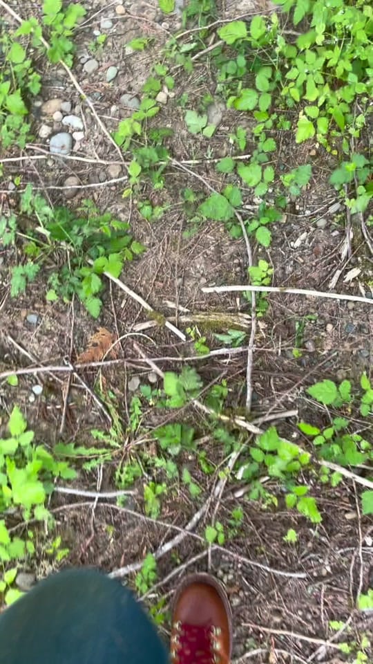 Post 10 by Plain_to_Sea on TikTok (video)