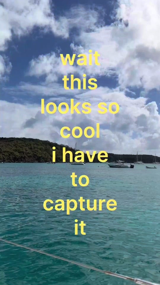 Post 9 by sabrina reed🪡🧵✨ on TikTok (video)
