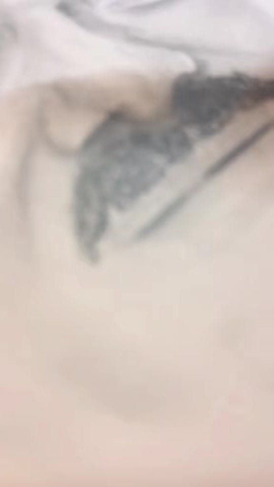 Post 1 by Janine on TikTok (video)