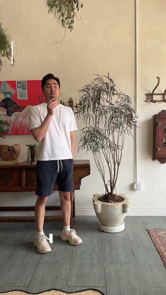 Post 1 by Arty B on TikTok (video)