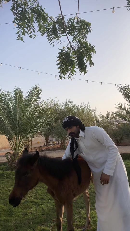 Post 2 by محمد بن فهد on TikTok (video)