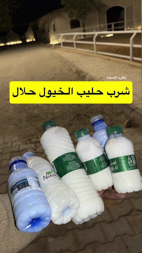 Post 4 by محمد بن فهد on TikTok (video)
