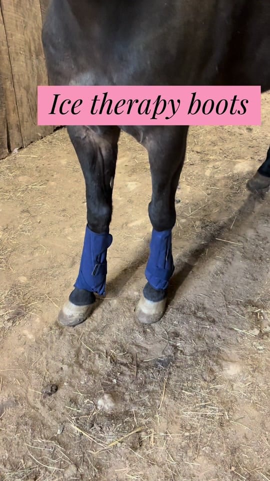 Post 3 by Barb✨ on TikTok (video)
