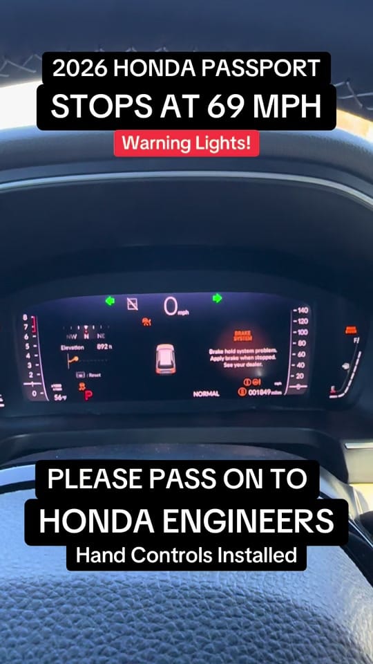 Post 8 by Zizi on TikTok (video)