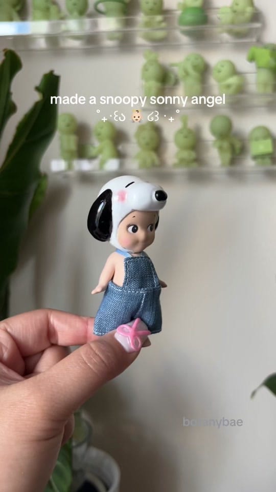 Post 8 by hanna | botanybae 🌱 on TikTok (video)