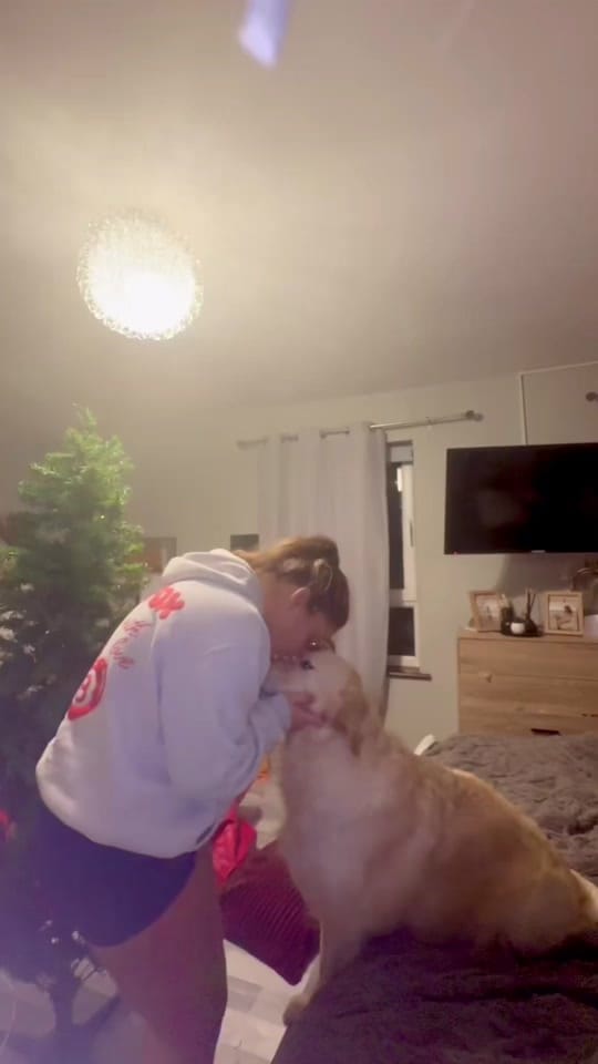 Post 6 by Luiza🌈💛👩🏽‍⚕️🐾👑 on TikTok (video)