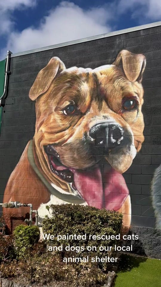 Post 5 by GROUNDFLOORMURALS on TikTok (video)