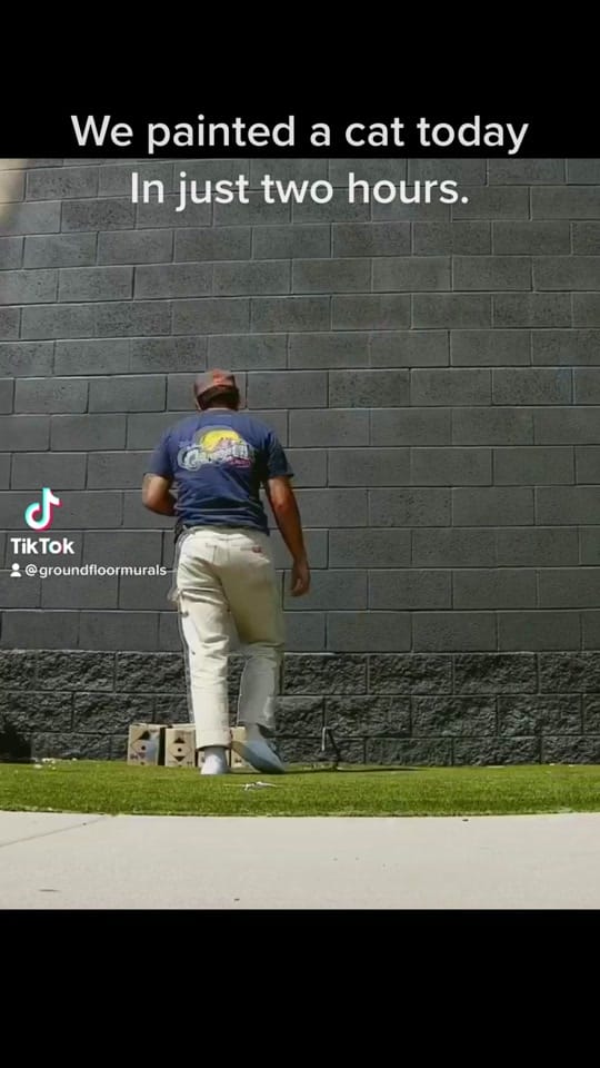Post 7 by GROUNDFLOORMURALS on TikTok (video)