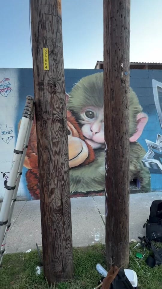 Post 1 by GROUNDFLOORMURALS on TikTok (video)