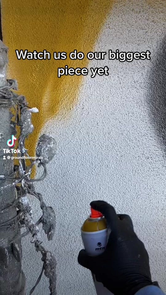 Post 8 by GROUNDFLOORMURALS on TikTok (video)