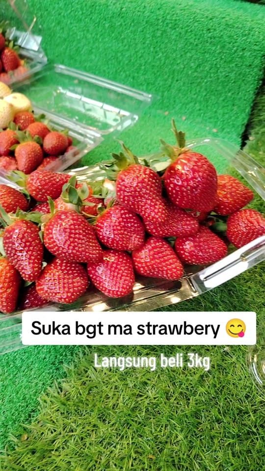 Post 5 by Stellalim Enterprise on TikTok (video)