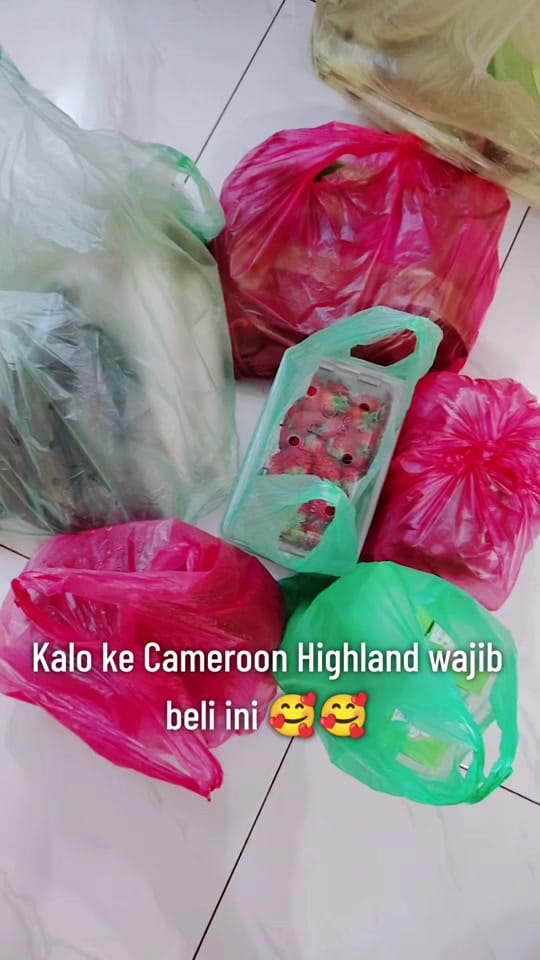 Post 4 by Stellalim Enterprise on TikTok (video)