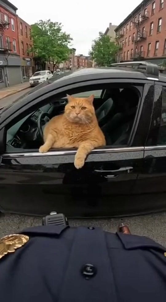 Post 5 by Pov.Bella on TikTok (video)