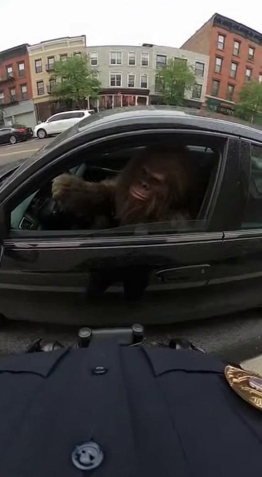 Post 3 by Pov.Bella on TikTok (video)