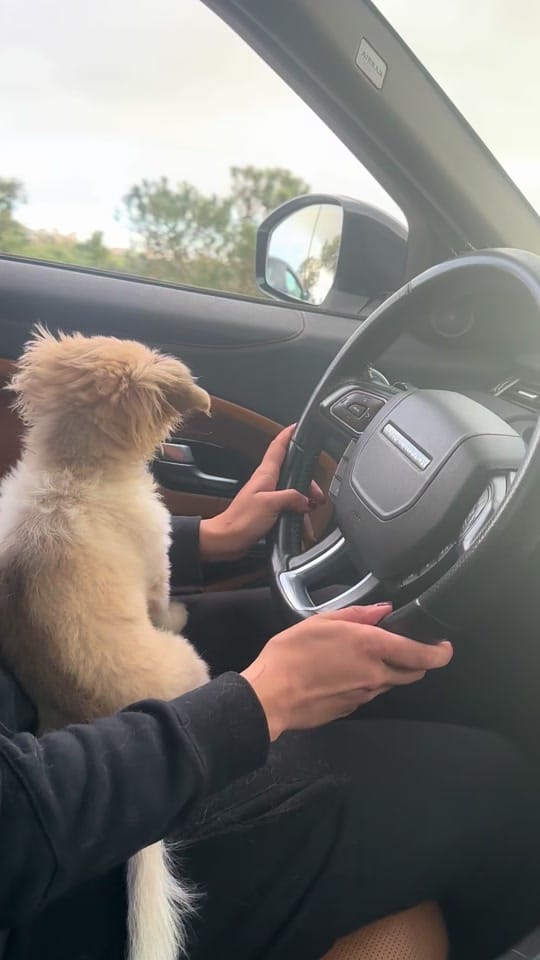 Post 7 by Zineb❤️ on TikTok (video)