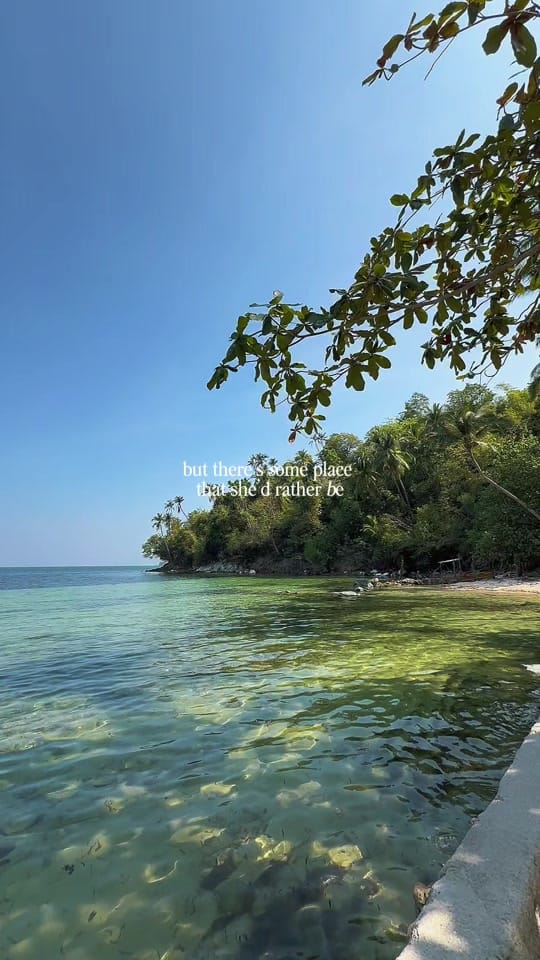 Post 7 by Vanessa Y 🌸 on TikTok (video)