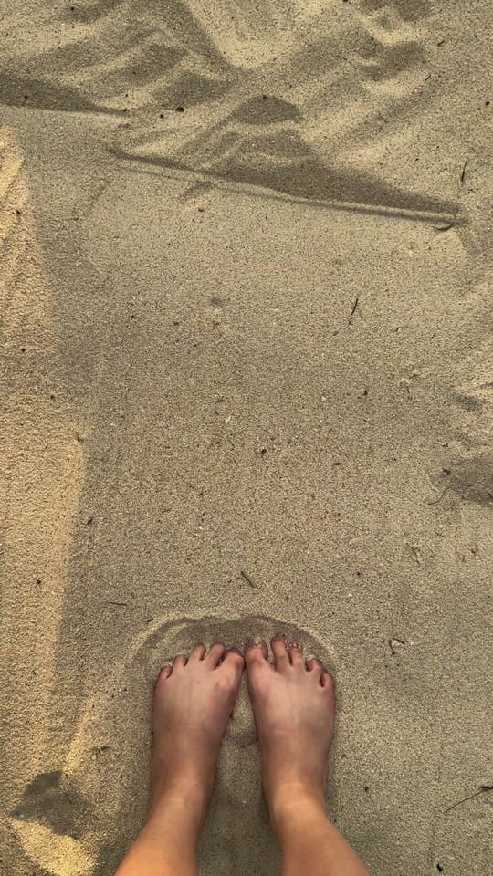 Post 6 by Vanessa Y 🌸 on TikTok (video)