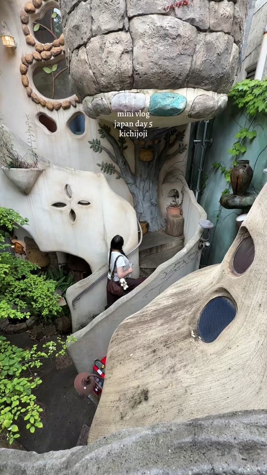 Post 6 by alyssa ⋆𐙚₊˚⊹ on TikTok (video)