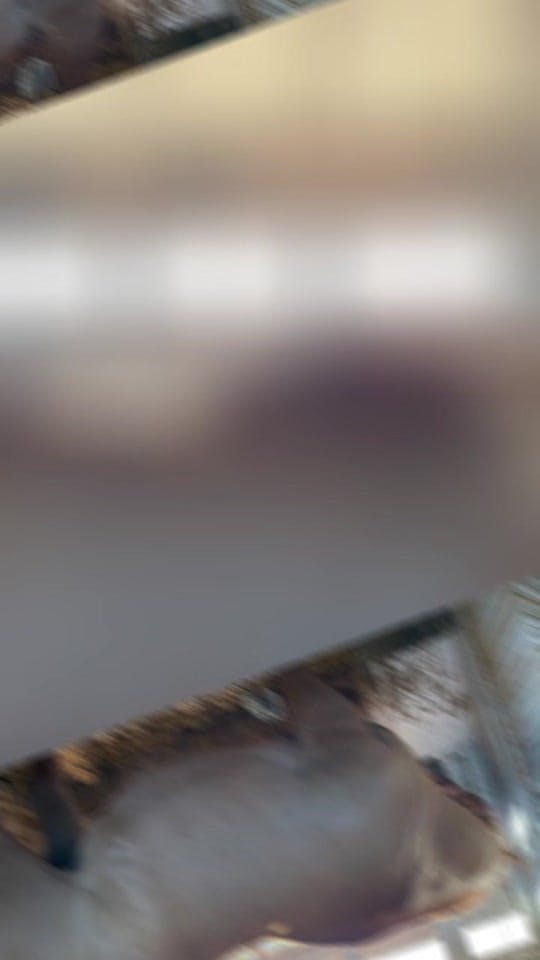 Post 1 by McFarlane Ranch on TikTok (video)