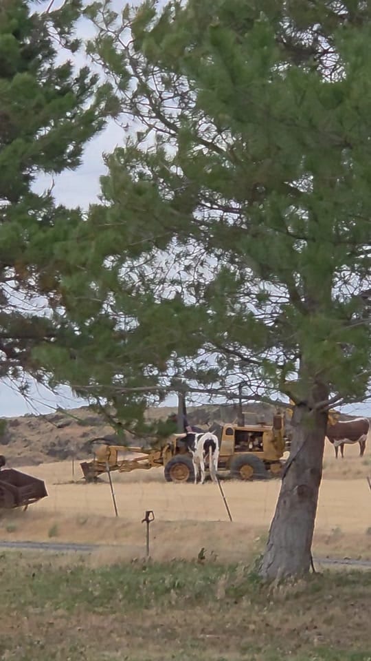 Post 4 by McFarlane Ranch on TikTok (video)