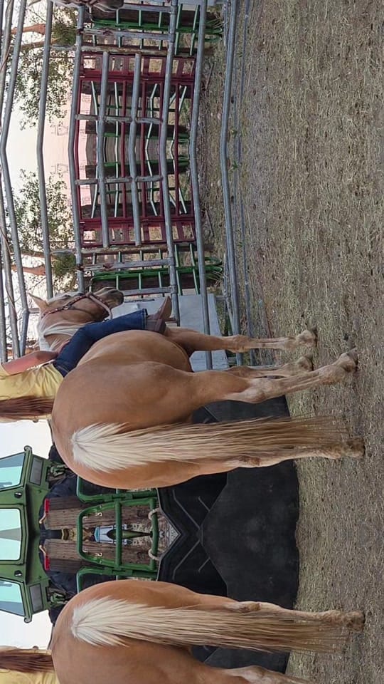 Post 6 by McFarlane Ranch on TikTok (video)
