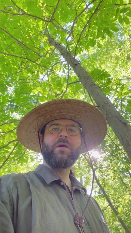 Post 1 by Jackson Goldklang on TikTok (video)