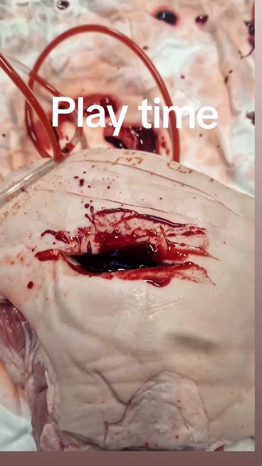 Post 5 by GCS GROUP on TikTok (video)