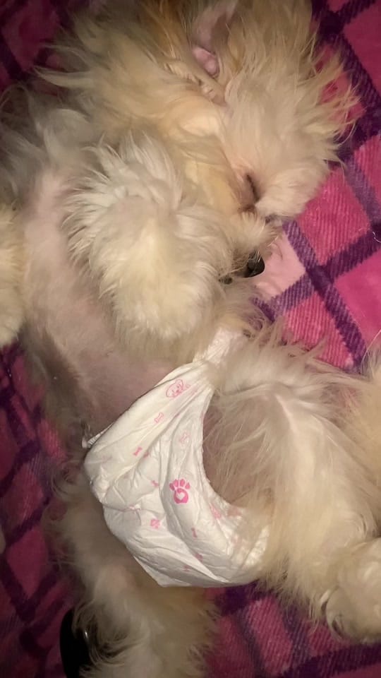 Post 9 by 💋💋💋 on TikTok (video)