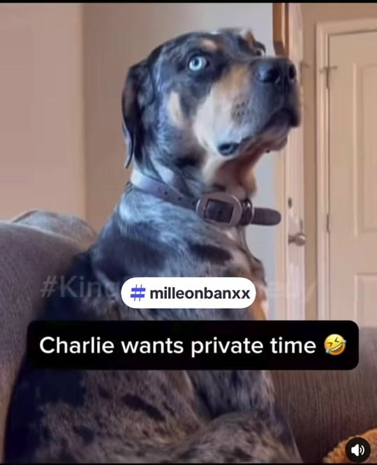 Post 7 by Milleon Banxx on TikTok (video)