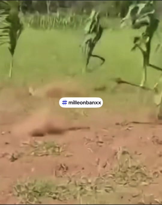 Post 10 by Milleon Banxx on TikTok (video)