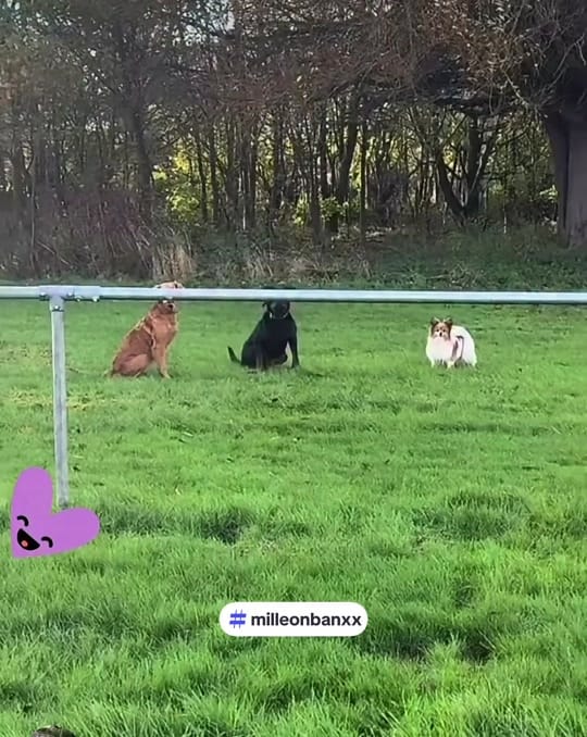 Post 8 by Milleon Banxx on TikTok (video)