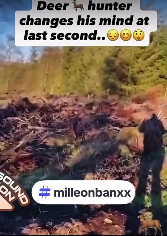 Post 5 by Milleon Banxx on TikTok (video)