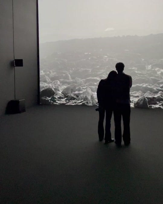 Post 1 by Louisiana Museum of Modern Art on TikTok (video)