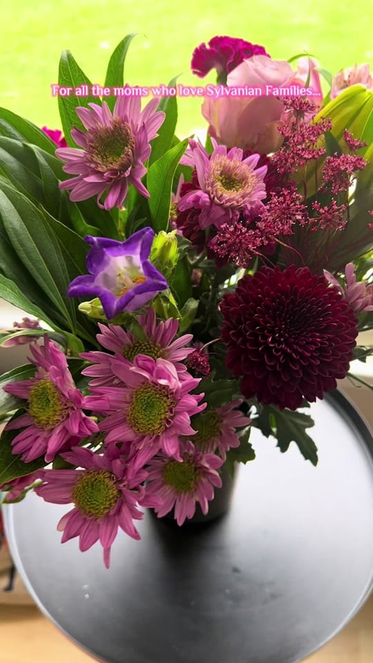 Post 1 by Jamie 🌱🦔🌷 on TikTok (video)