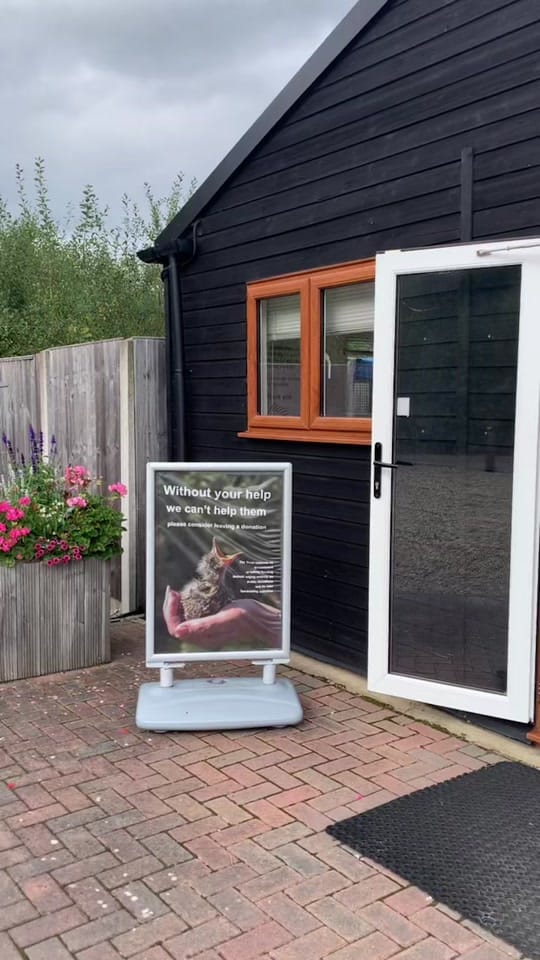 Post 10 by Folly Wildlife Rescue on TikTok (video)
