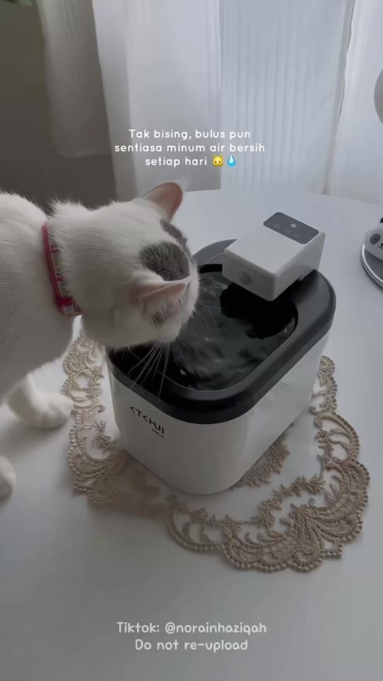 Post 4 by Ain Haziqah on TikTok (video)