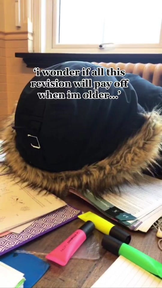 Post 8 by munchingmolars on TikTok (video)